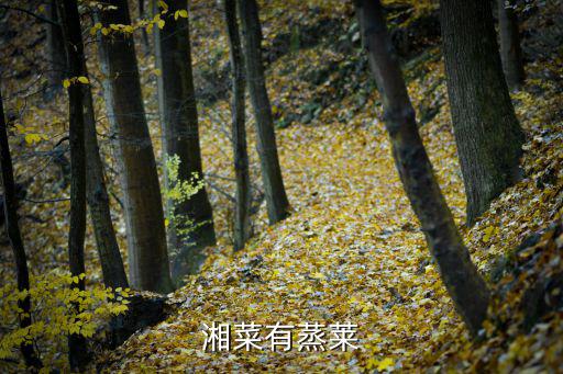 湘菜有蒸莱