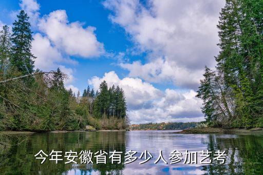 安徽音乐高考今年有多少人考啊，今年安徽省音乐类艺术考生大概有多少人