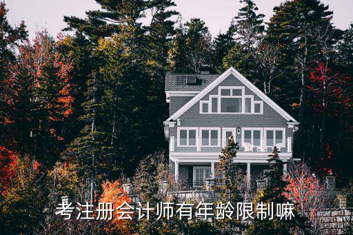 考上注册会计师多少岁，考上CPA的人大多都多少岁
