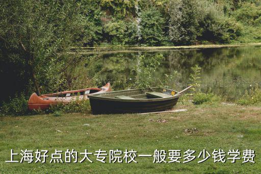 上海好点的大专院校一般要多少钱学费