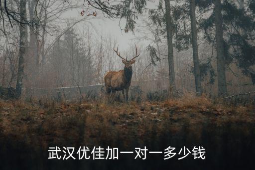感统训练多少钱一节课，武汉优佳加一对一多少钱