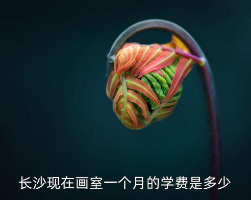 长沙绘画培训学费多少，长沙现在画室一个月的学费是多少