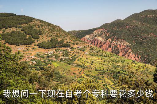 自考大专学历要多少钱，我想问一下现在自考个专科要花多少钱