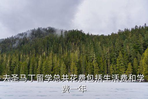 去圣马丁留学总共花费包括生活费和学费一年