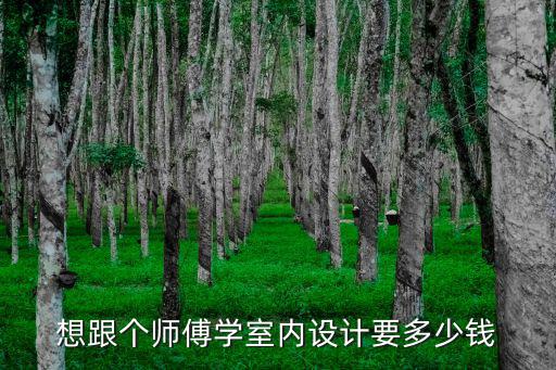 想跟个师傅学室内设计要多少钱