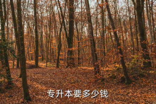 专升本要多少钱