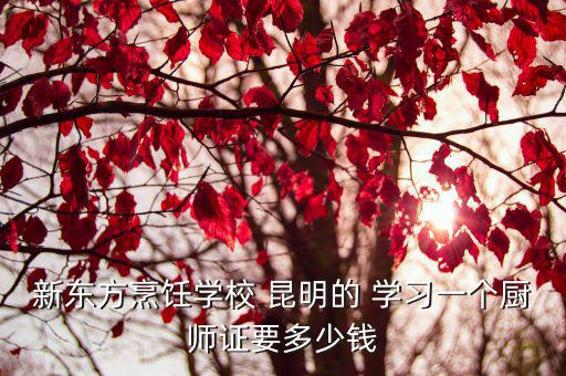 新东方烹饪学校 昆明的 学习一个厨师证要多少钱