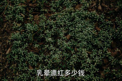 乳晕漂红多少钱