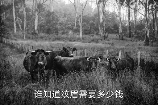 谁知道纹眉需要多少钱