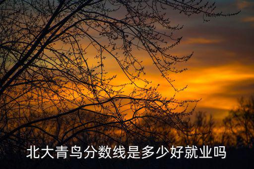 北大青鸟分数线是多少好就业吗