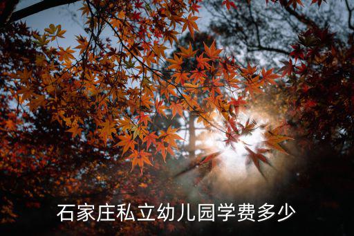 石家庄私立幼儿园学费多少