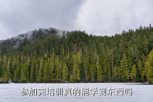 参加完培训真的能学到东西吗