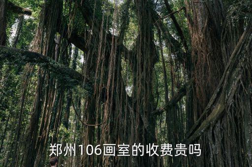 郑州106画室的收费贵吗