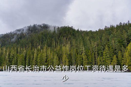 山西省长治市公益性岗位工资待遇是多少