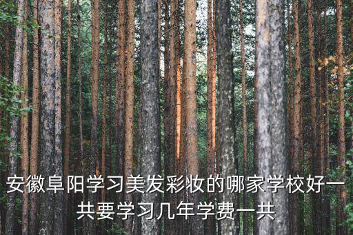 安徽阜阳学习美发彩妆的哪家学校好一共要学习几年学费一共