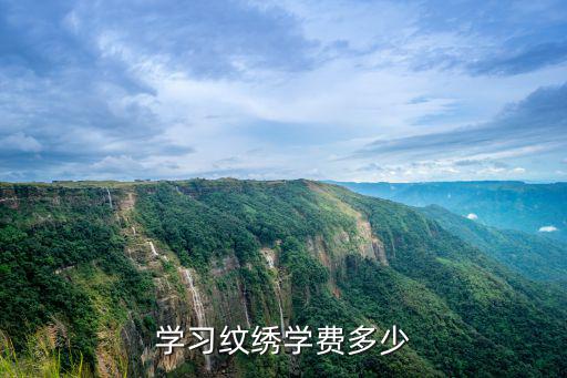 学习纹绣学费多少
