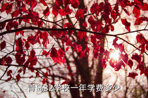 青岛32学校一年学费多少