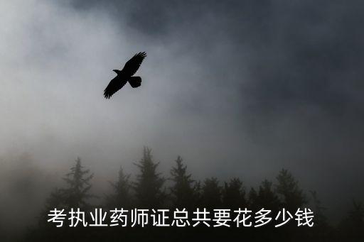 考执业药师证总共要花多少钱