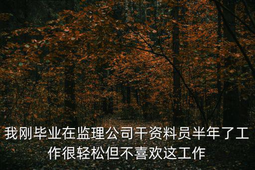 我刚毕业在监理公司干资料员半年了工作很轻松但不喜欢这工作