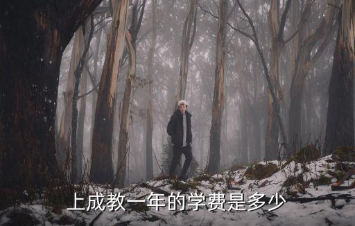 上成教一年的学费是多少