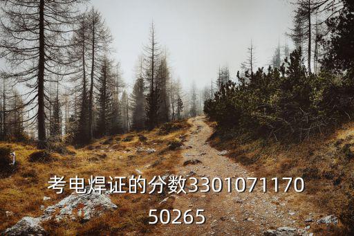 考电焊证的分数330107117050265