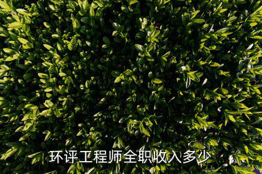 环评工程师全职收入多少