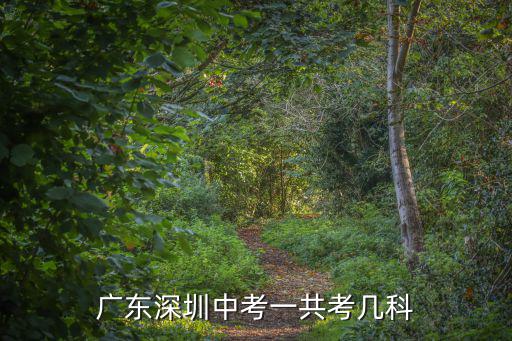 广东深圳中考一共考几科