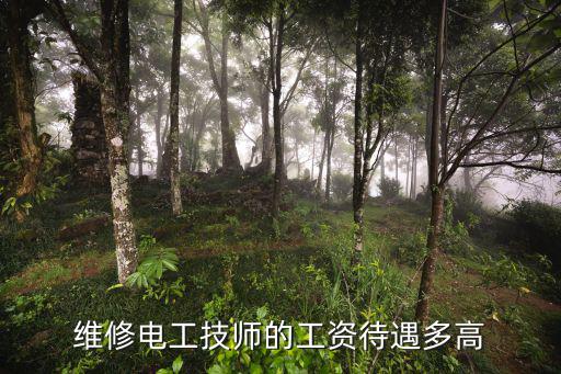 维修电工技师的工资待遇多高