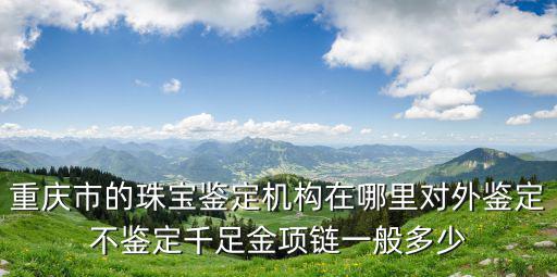 重庆市的珠宝鉴定机构在哪里对外鉴定不鉴定千足金项链一般多少