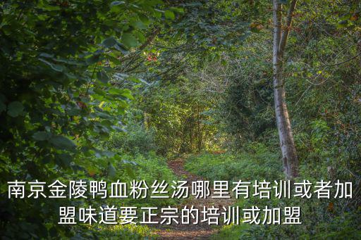 南京金陵鸭血粉丝汤哪里有培训或者加盟味道要正宗的培训或加盟