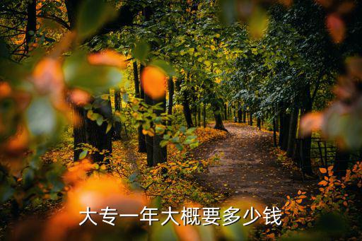 大专一年大概要多少钱