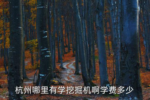 杭州哪里有学挖掘机啊学费多少