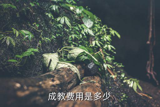 成教费用是多少