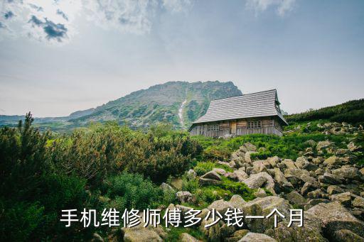 学修手机价格多少钱，手机维修师傅多少钱一个月