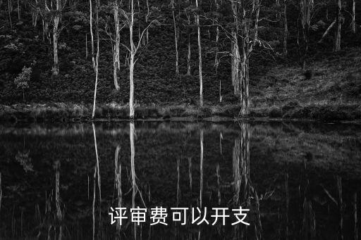 国家美术师评审费多少，职称评审收费标准是多少