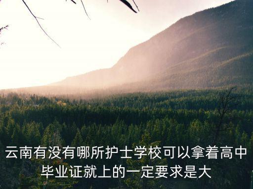 云南有没有哪所护士学校可以拿着高中毕业证就上的一定要求是大