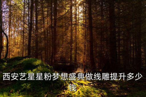 西安学线雕要多少钱，做线雕多少钱价格