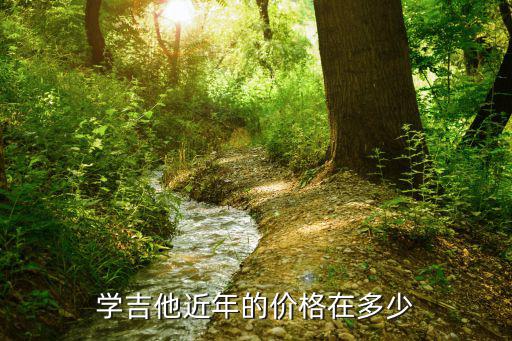 东莞学吉他要多少钱，东莞学吉他要多少钱一节课