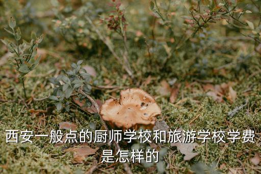 西安一般点的厨师学校和旅游学校学费是怎样的