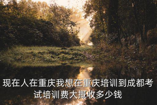 现在人在重庆我想在重庆培训到成都考试培训费大摡收多少钱