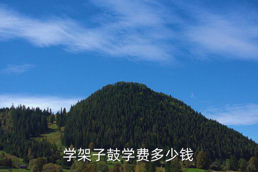 大连学架子鼓多少钱，学架子鼓学费多少钱