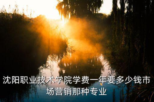 沈阳职业技术学院学费一年要多少钱市场营销那种专业