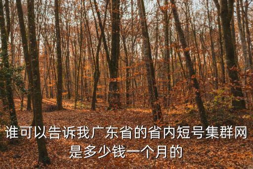 广东会网址多少钱，谁可以告诉我广东省的省内短号集群网是多少钱一个月的