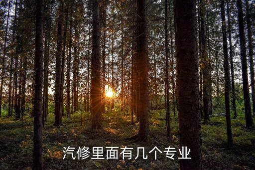 汽修有多少职业，汽修有哪些职业呢