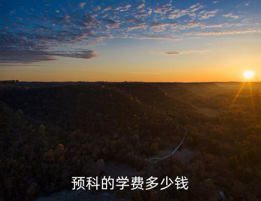 日本预科学费多少钱，预科的学费多少钱
