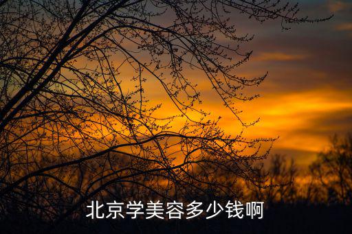 北京学美容多少钱啊