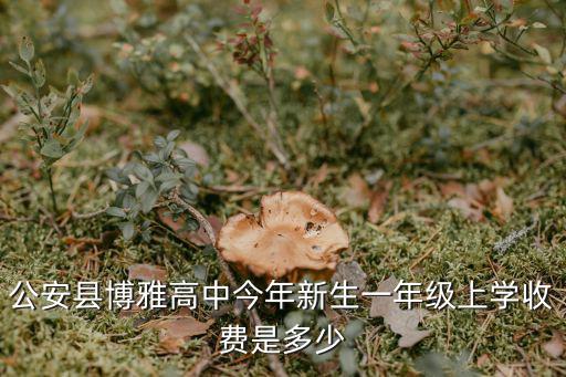 衡阳博雅学校收费多少钱，衡阳学车在那里学学费多少C1