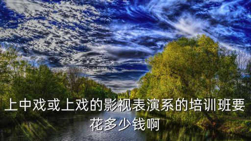 上中戏或上戏的影视表演系的培训班要花多少钱啊