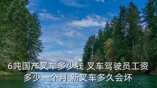 6吨国产叉车多少钱 叉车驾驶员工资多少一个月 新叉车多久会坏