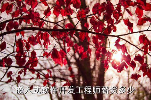 嵌入式软件开发工程师薪资多少